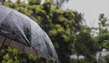 Spring storm set to bring rain to Northern California, snow to Sierra