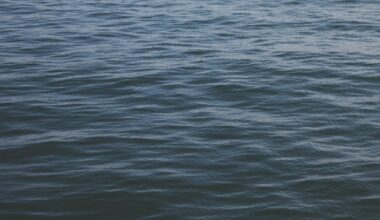 Man found dead after falling into Rancho Cordova canal, officials say