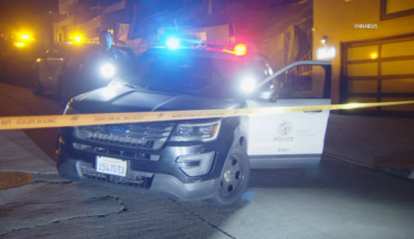Woman strangled during Hollywood Hills home invasion, police say – NBC Los Angeles