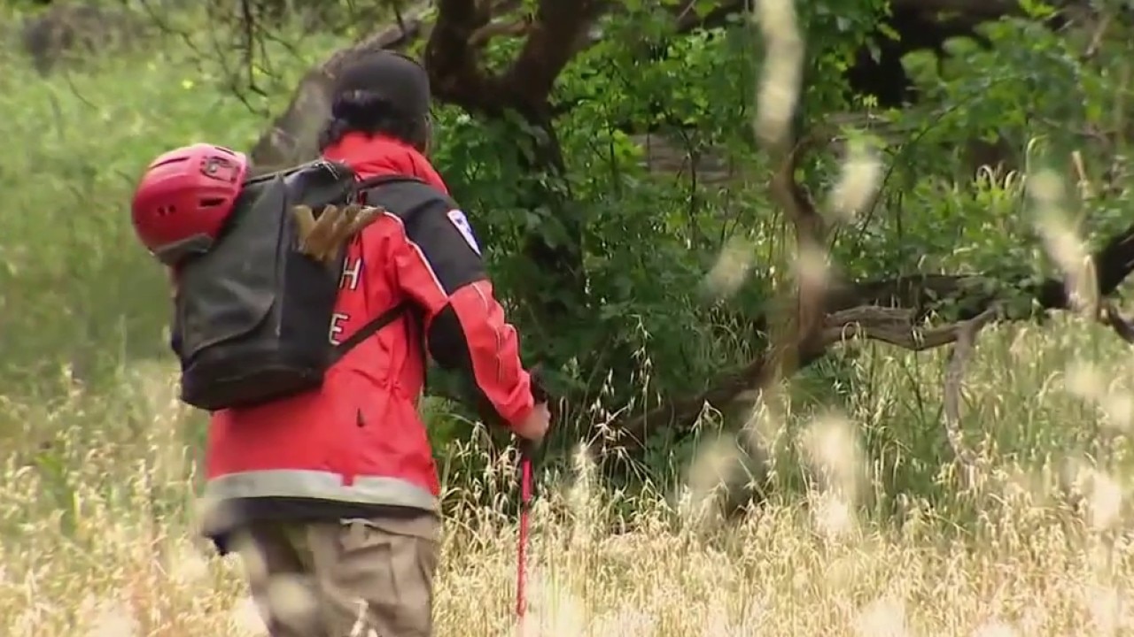 Police search for missing coffee shop owner in Dimond Park