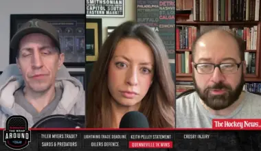 Anaheim Ducks Clinch Playoffs for First Time in Eight Years