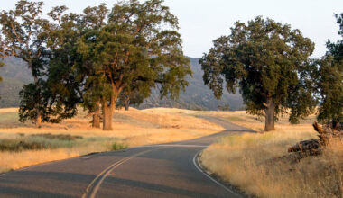 Three Injured in Early-Morning Crash on Pentz Road in Paradise - Sacramento Injury Attorneys Blog