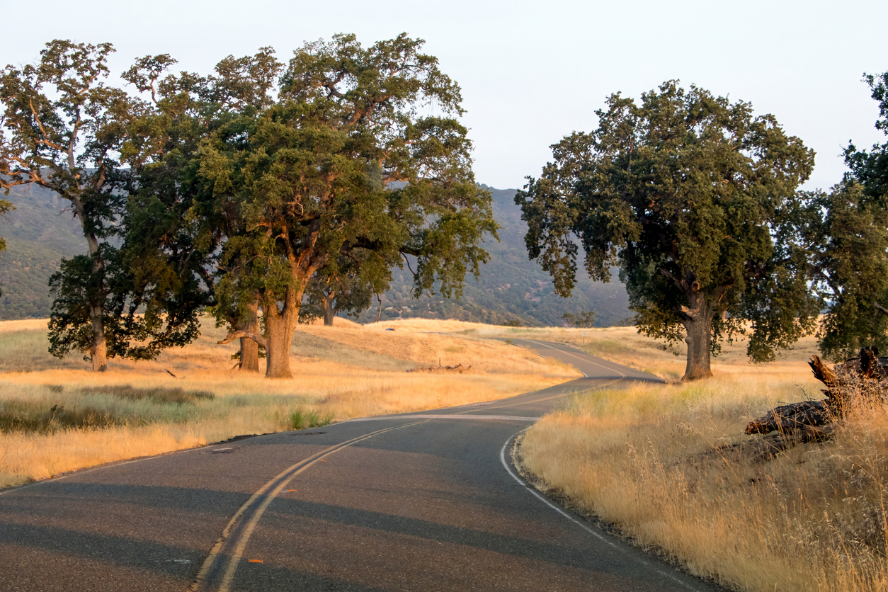 Three Injured in Early-Morning Crash on Pentz Road in Paradise - Sacramento Injury Attorneys Blog
