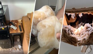 Mysterious ice chunk crashes through Whittier ADU roof – NBC Los Angeles