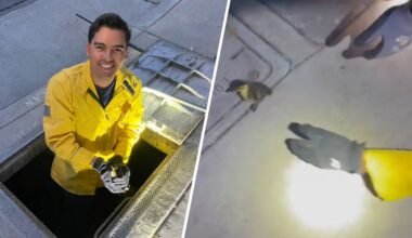 Huntington Beach Fire Department rescues ducklings storm drain – NBC Los Angeles