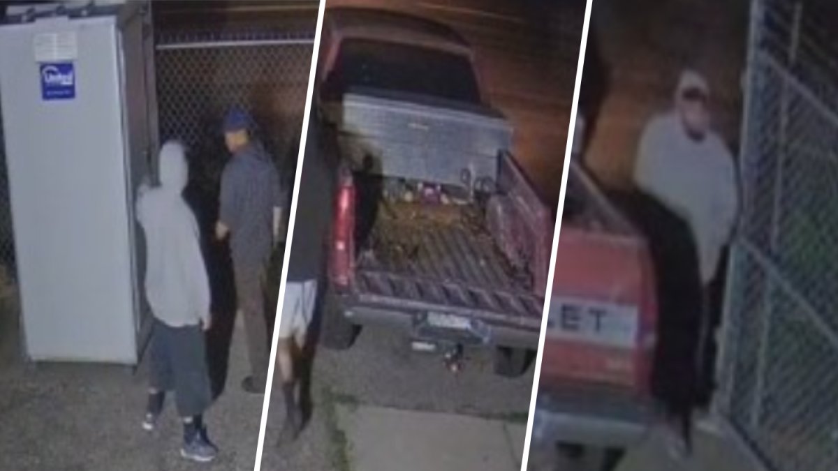 3 men sought for stealing porta potty in Whittier – NBC Los Angeles