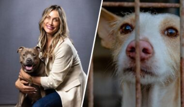Bass appoints new general manager for Los Angeles Animal Services – NBC Los Angeles
