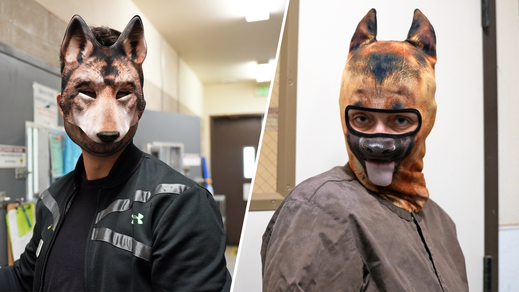Ramona Wildlife Center staff wear masks to care for orphaned coyote pup, Val. 
