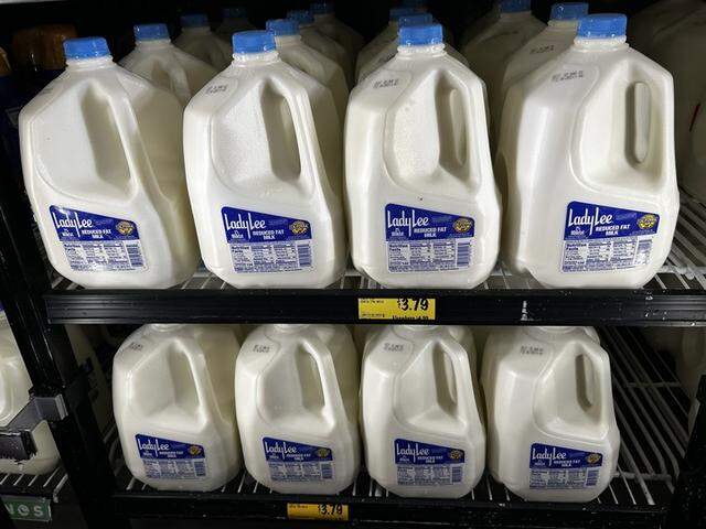 A gallon of Lady Lee 2% milk at Grocery Outlet can be bought for $3.79, as of Tuesday, Feb. 18, 2025.