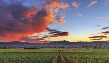 California's 5 Top-Rated Destinations To Retire In Napa Valley