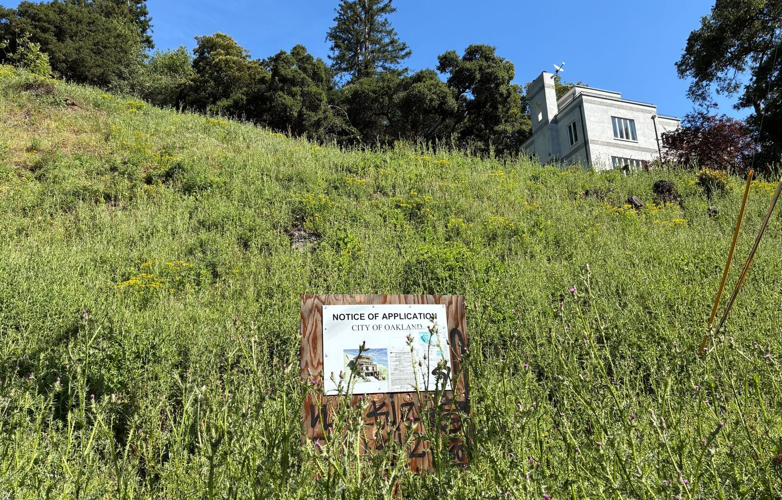 $1 million fine for a property owner who cut trees in Oakland?