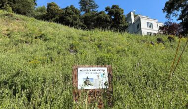 $1 million fine for a property owner who cut trees in Oakland?