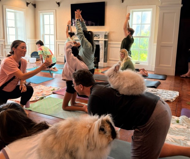 Guests participate in a recent "bunny yoga" session presented by the Orli hotel in La Jolla. (Orli La Jolla)