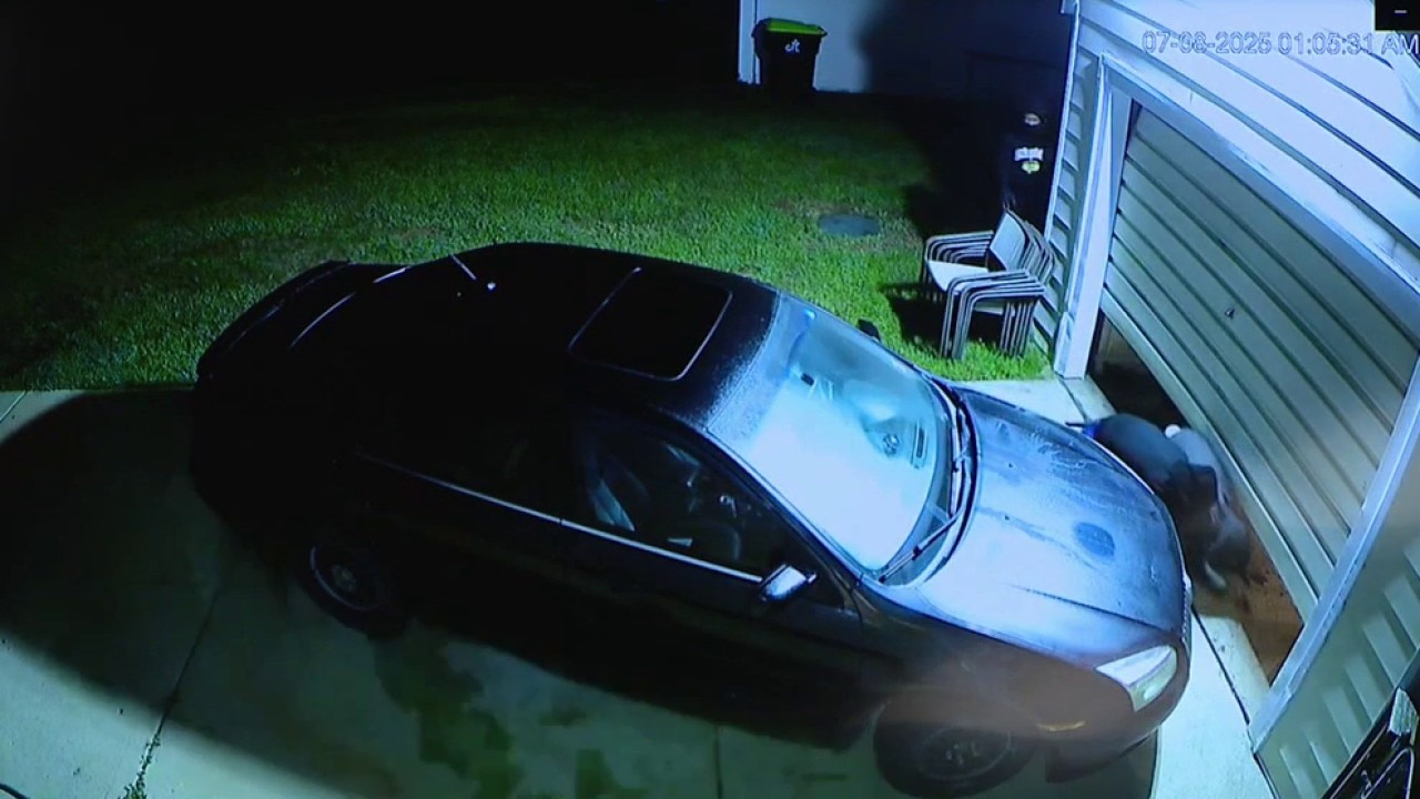 Video shows deadly White Lake shooting during attempted break-in
