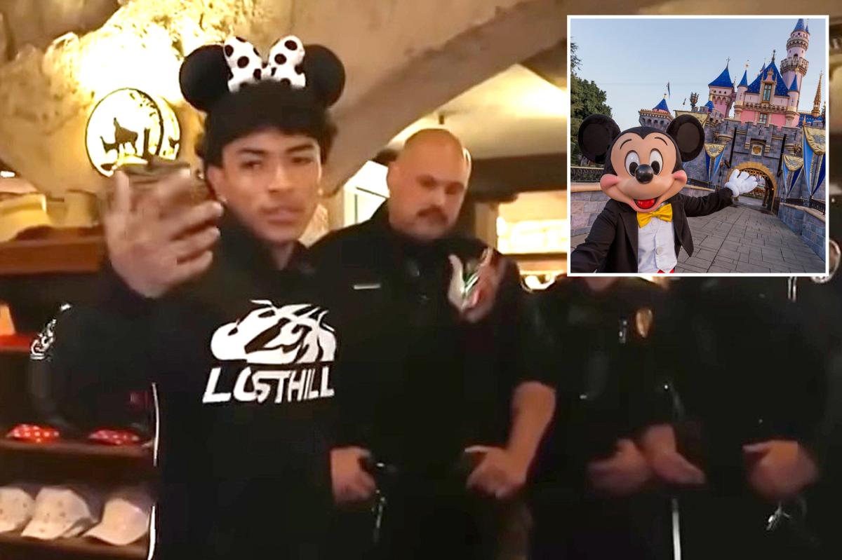 Disney Parks may soon ban popular influencer activity: reports