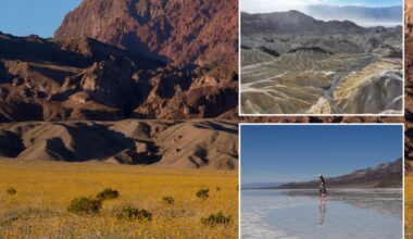 California’s desert giant ranked top destination in the US — another state park cracks top 10