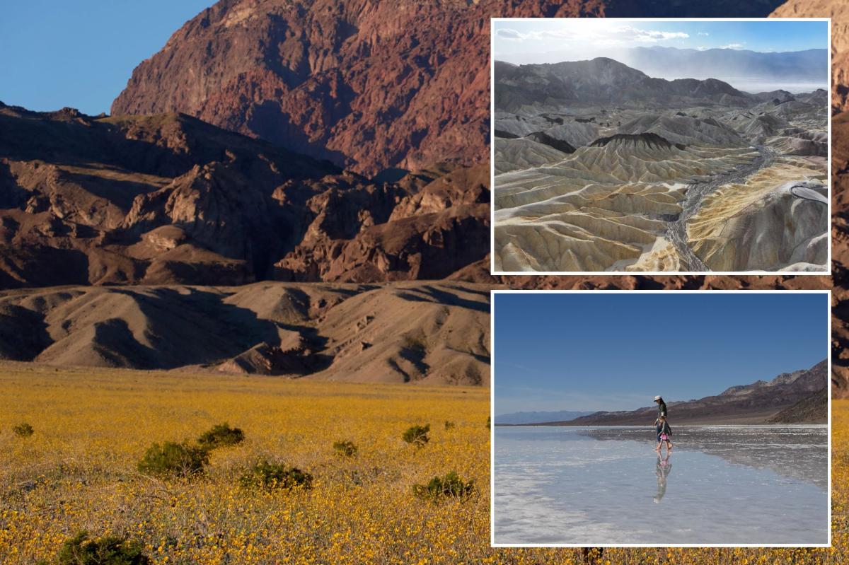 California’s desert giant ranked top destination in the US — another state park cracks top 10