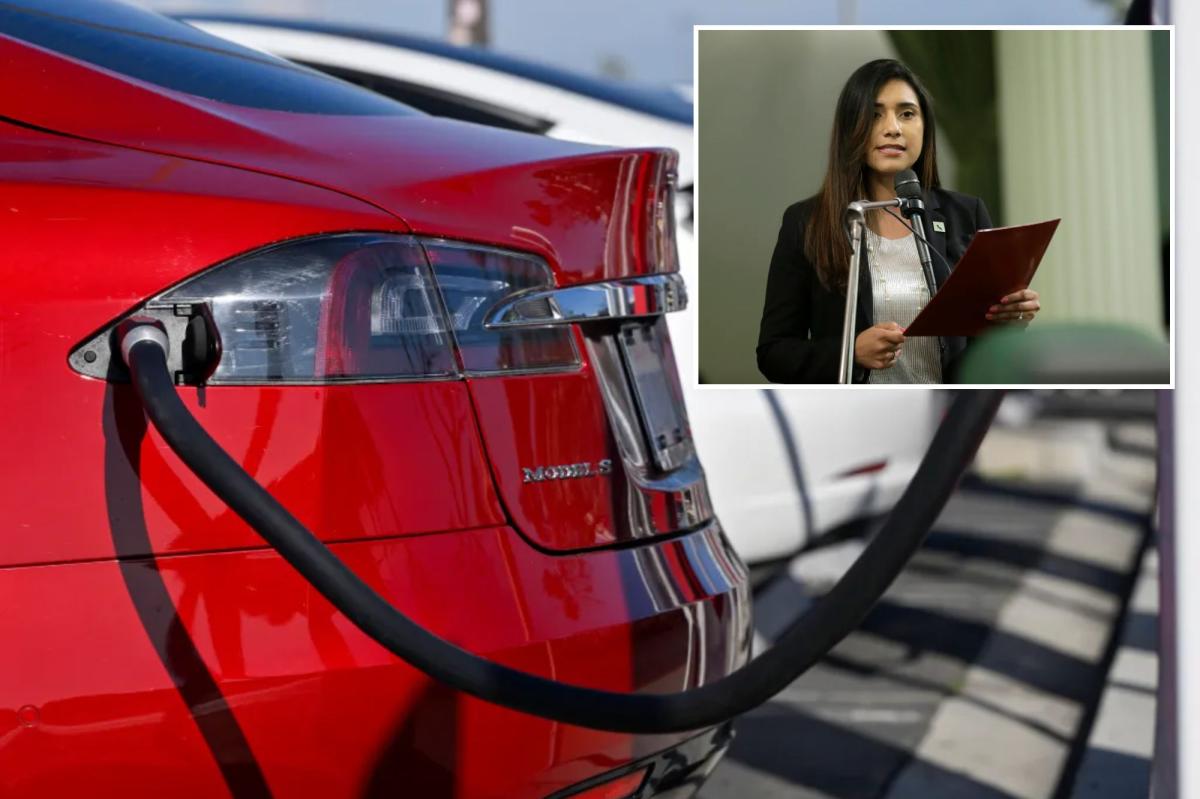California launches $10M car repair freebies — only for EVs