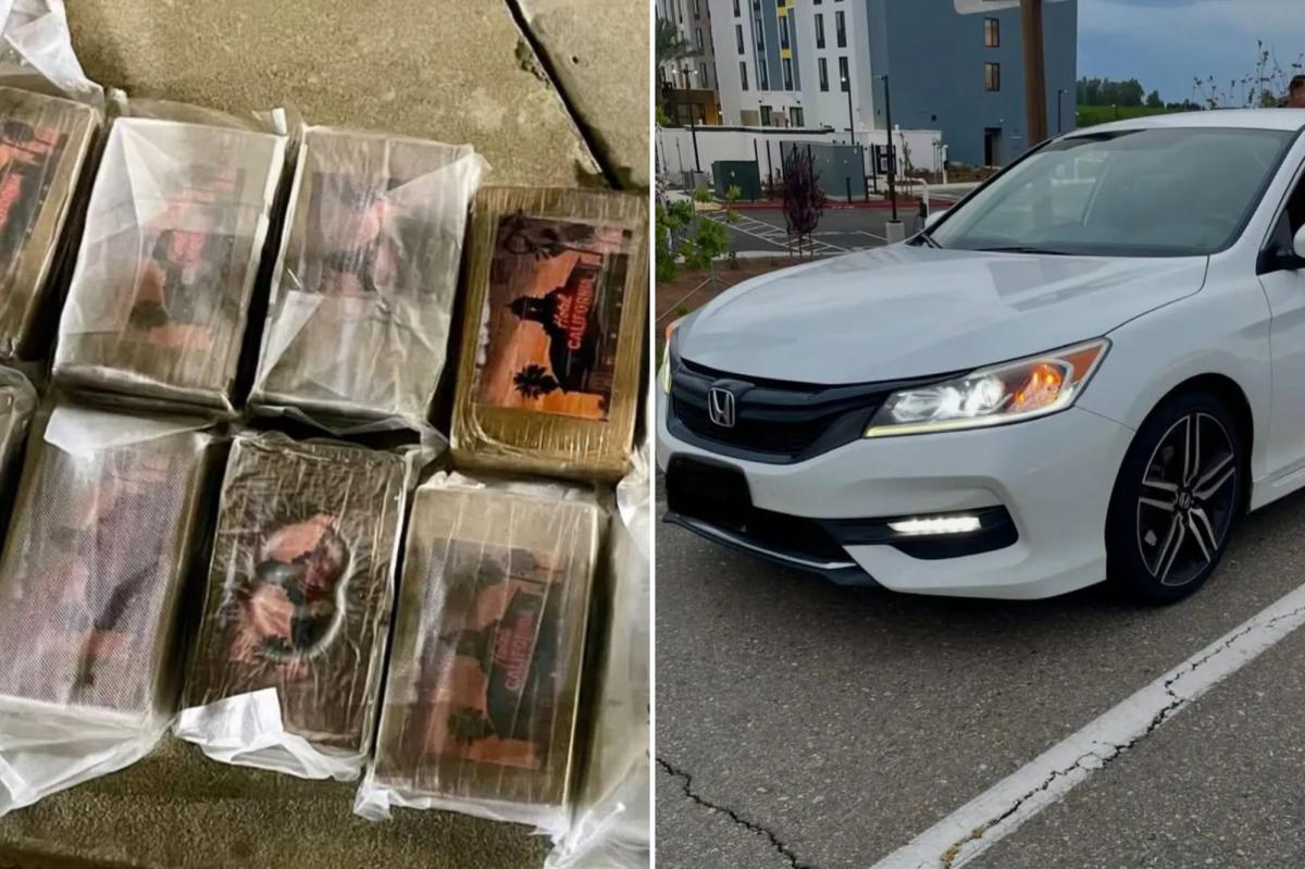 ‘Hotel California’ cocaine worth $1M seized in Central Valley bust