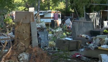 North Hollywood residents say vacant lot has been neighborhood nuisance – NBC Los Angeles