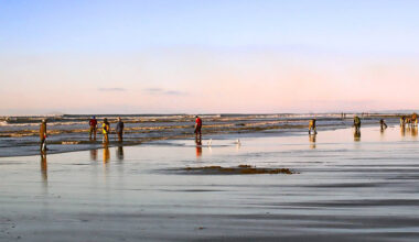 Washington Coast Okays A Week of Clam Digs Starting Today at Long Beach, Copalis, More