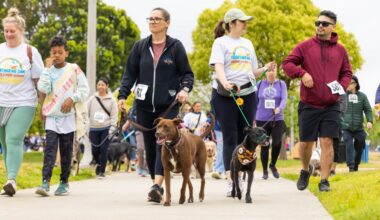 32nd annual Walk for Animals in Liberty Station sets ambitious fundraising goal