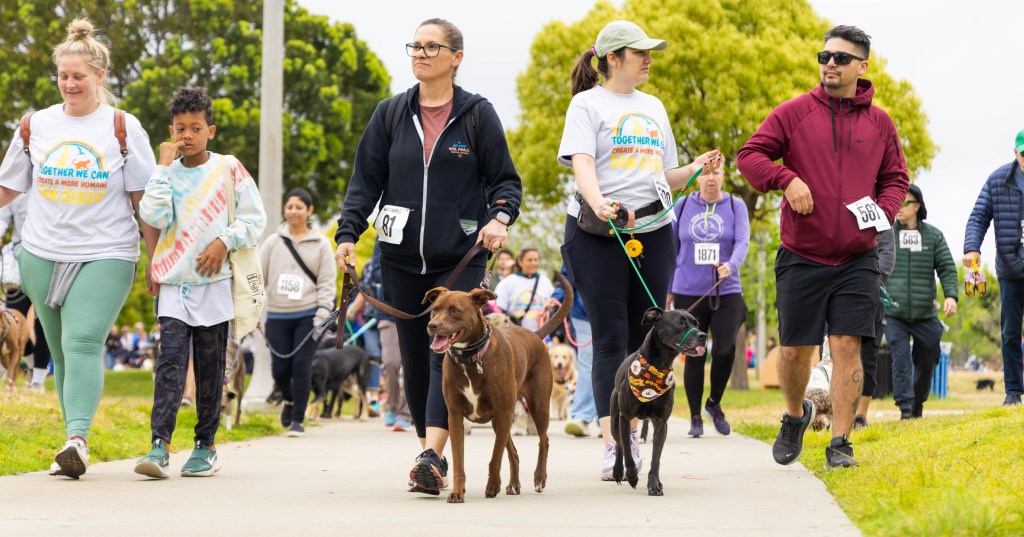 32nd annual Walk for Animals in Liberty Station sets ambitious fundraising goal