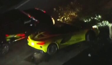 Corvette fakes pumping gas mid-police chase, crashes into tree near Torrance