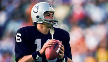 Las Vegas Raiders logo