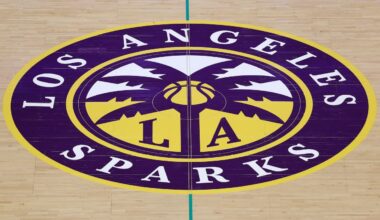 Los Angeles Sparks hire Stacy Johns as president