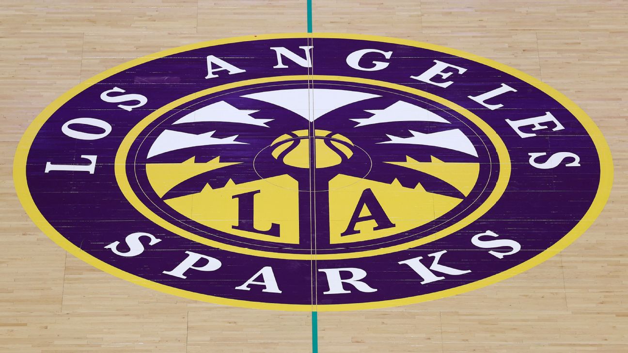 Los Angeles Sparks hire Stacy Johns as president