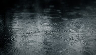 Weekend storm to bring rain, possible thunderstorms – NBC Los Angeles