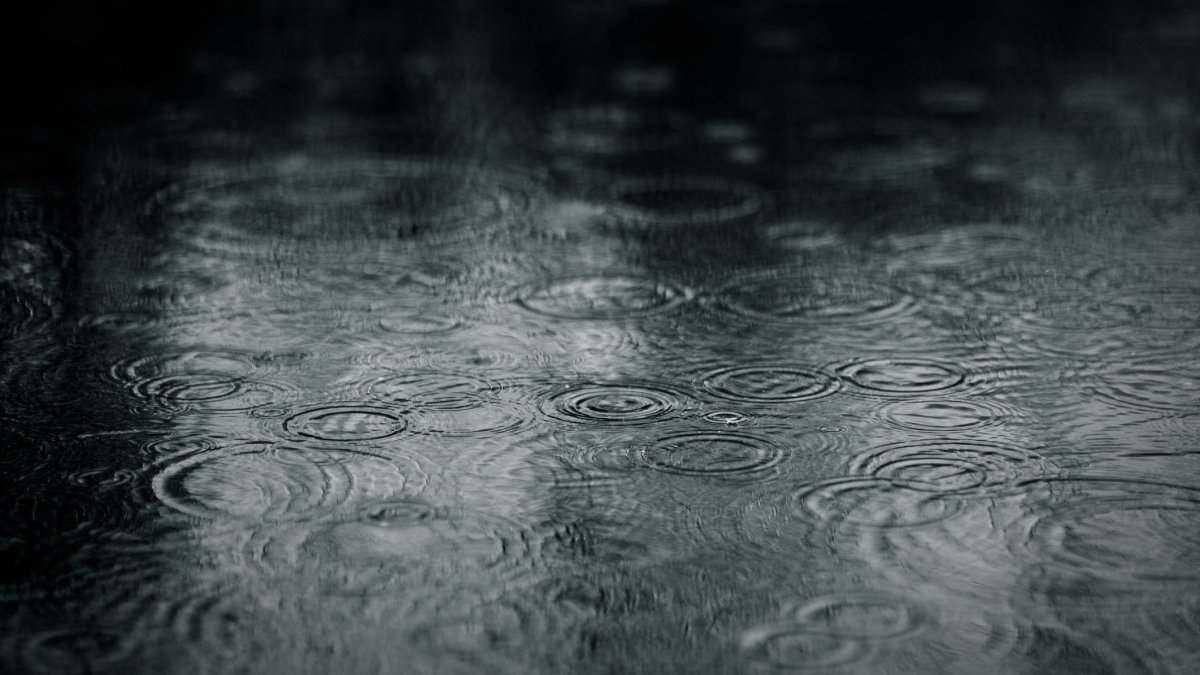 Weekend storm to bring rain, possible thunderstorms – NBC Los Angeles