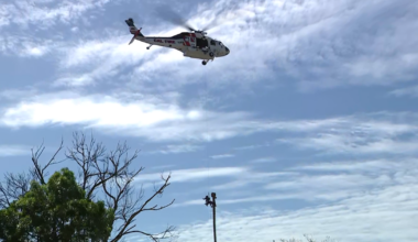 Worker rescued from San Jose palm tree after medical emergency 75 feet in air