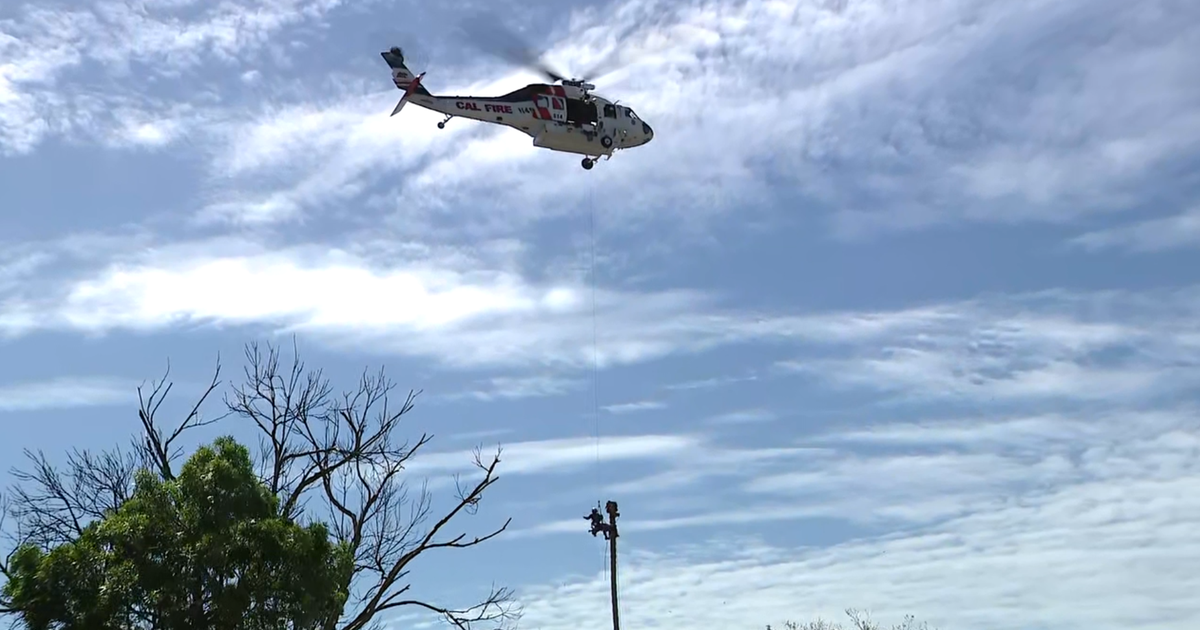 Worker rescued from San Jose palm tree after medical emergency 75 feet in air