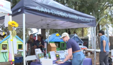 Hundreds celebrate Earth Day as Balboa Park marks 34 years of celebration – NBC 7 San Diego