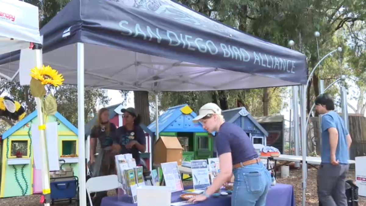 Hundreds celebrate Earth Day as Balboa Park marks 34 years of celebration – NBC 7 San Diego