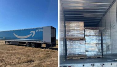 3 Southern California men arrested in $1M California Lego heist