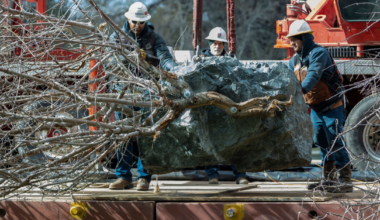 A Unusual Salmon Habitat Project Is Coming to the Sacramento River Near Redding This Week