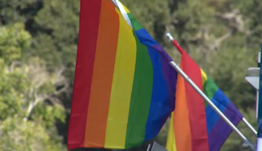 Man who admitted to sexual assault during SD Festival sentenced – NBC 7 San Diego