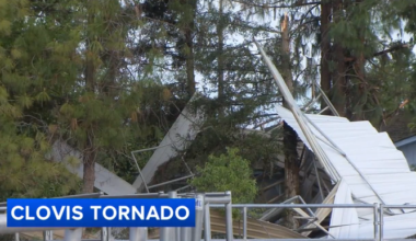Tornado Destroys Barn and Topples Trees on Clovis Property