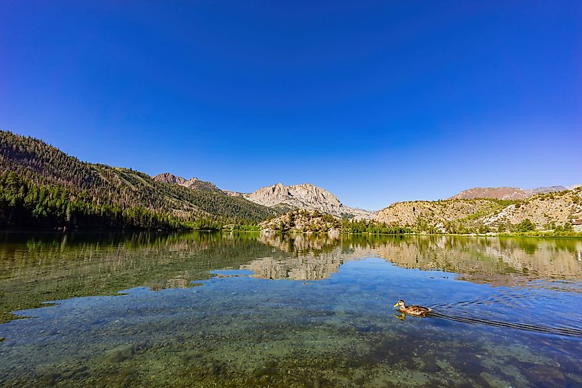Gull Lake in the June Lake Loop, California.