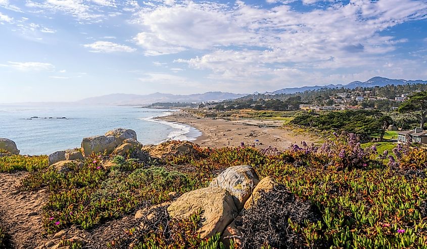 The rocky shoreline of Moonstone Beach in Cambria, California.