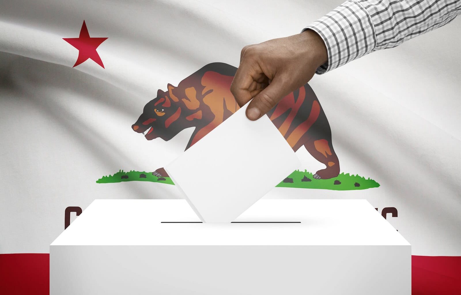 Landmark State Voting Rights Laws Move Forward in CA Senate