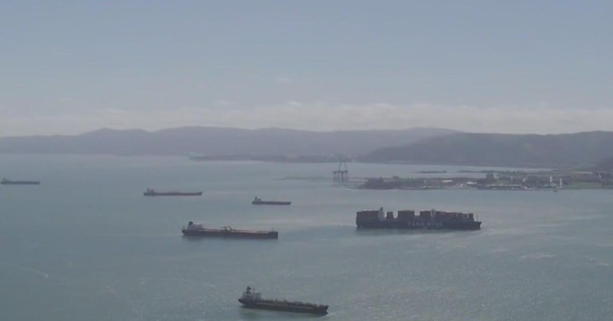 Bay Area's maritime traffic service went offline for hours as DHS shutdown continues