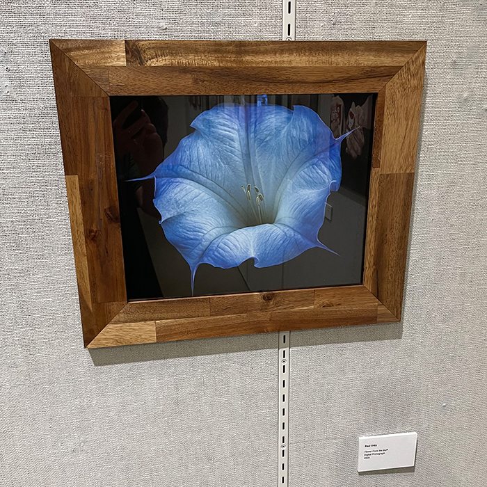 digital photograph of a bright blue flower