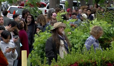 Open casting call for movie to be filmed in Sacramento, El Dorado counties attract hundreds