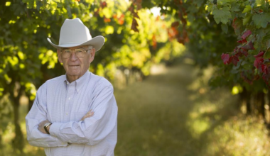 man in a cowboy hat in a vineyard