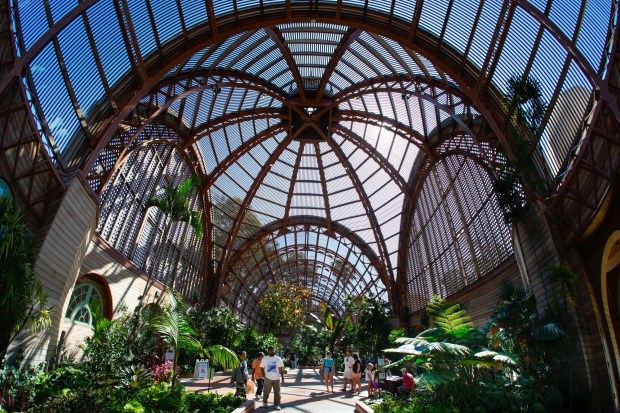 Following the unveiling of the restored 1915 historic pergola by Forever Balboa Park, guests enjoyed a walk through the Botanical Building on Friday, April 10, 2026, in San Diego.  (Nelvin C. Cepeda / The San Diego Union-Tribune)