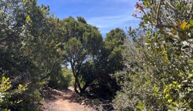 Travel between Serra Mesa and Mission Valley along the Ruffin Canyon Trail – San Diego Union-Tribune
